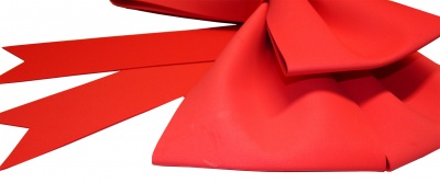 Giant 3D Foam Door Bow - 65cm RED